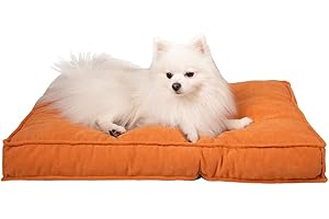 WELLYELO Dog Beds for Small Dogs Cat Bed for Indoor Cats Dog Crate Pad Pet Bed Puppy Bed Machine Washable (24x18x3, Orange-1)