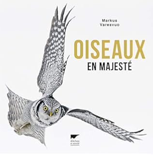 Amazonfr Oiseaux Instants Magiques Markus Varesvuo - 