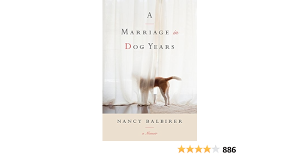 how old is 35 in dog years