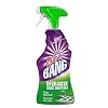CILLIT BANG Pistolet Dégraissant Surpuissant – 750 ml