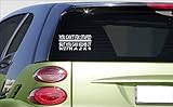 you cant fix stupid numb it 2x4 8" sticker *E975* DECAL joke funny jdm turbo 4x4