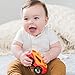 Nuby Car Rattle Teether Toy, Red, 5