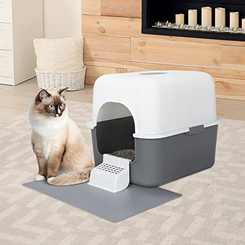 Cat Litter Box with Lid,Top Entry Kitty Sifting Litter Box Kitten