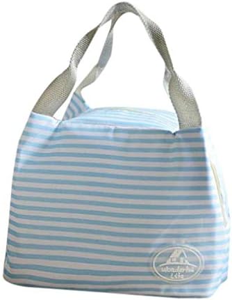 Picnic Insulated Zipper Organizer Lunch Box Lunch Bag,Outsta Fashion for Women Kids Men Organizer Cool Bag Handbag Pouch Picnic Carry Case (Blue)
