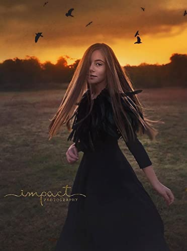 homelex gothic black natural feather cape shawl with choker collar
