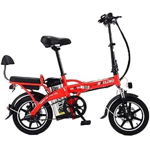 €39.99 Legnoland - Bicicletta in Legno Ruota Libera senza Pedali, 35483 -  bikewebshop.it