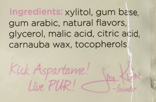 PUR GUM | ASPARTAME FREE CHEWING GUM | 100% XYLITOL | NATURAL BUBBLEGUM FLAVORED GUM, 55 PIECES (PACK OF 1)