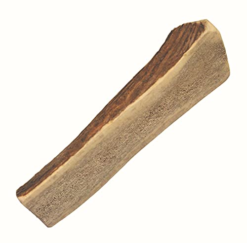 elkhorn premium chews