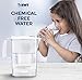 BWT Award Winning Austrian Quality Compact Water Filter Pitcher, Patented Magnesium Technology for Superior Filtration and Taste (Bonus 60 Day Filter Included) BPAFree