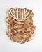 hairdo from Jessica Simpson and Ken Paves 23