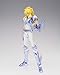 Bandai Tamashii Nations Saint Cloth Myth Ex Cygnus Hyoga Action Figure