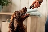 Forthglade Natural Dog Dental Sticks 4 x 185g Plant Based Grain Free view 8
