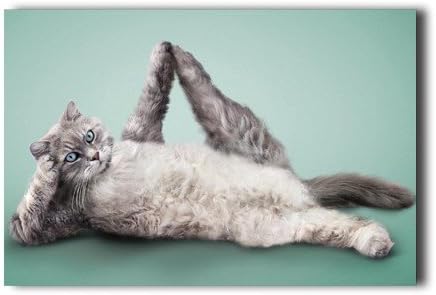 Jaune Chat Dans Un Arbre Funny Dessin Papier Mural Animal