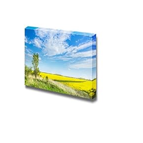 Beautiful Scenery Landscape Hill with Young Poplar Amides Blooming Rape Fields and Blue Sky - Canvas Art Wall Art - 12" x 18"