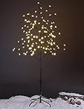 LIGHTSHARE 5FT LED Star Light Tree, Warm Light, Brown