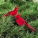 GALLERIE II Cardinal Birds Clip Christmas Xmas Ornament Assortment of 2 A/2 Red