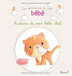 Histoire de mon bébé chat