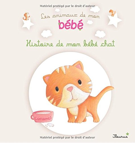 Histoire de mon bébé chat