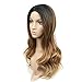 HANNE Ombre Brown Body Wave Synthetic Wigs For Black and White Women High Density Heat Resistant Glueless None Lace Wavy Full Wigs(3 Tone Ombre)