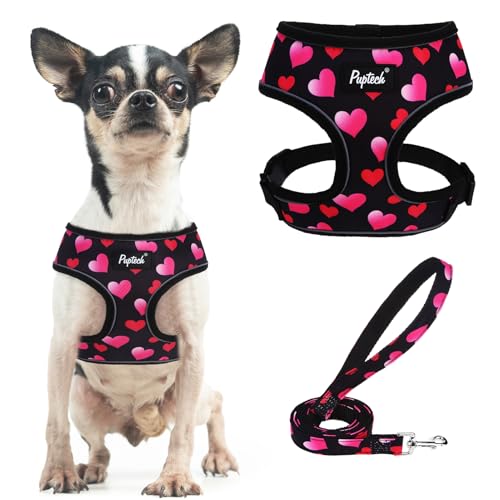 PUPTECK Small Dog Harness Leash Set No