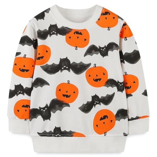 Funnymore Toddler Boy's Cotton Crewneck Sweatshirt