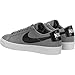 Nike Men's SB Blazer Zoom Low Skate Shoe