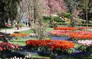 Amazon.com: Jessica Tamturk: Books, Biography, Blog, Audiobooks