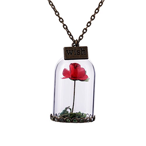 FM42 The Little Prince's Red Rose Flower Cylinder Glass Locket Pendant Necklace FN4085