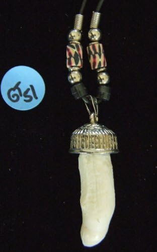Alligator KingAlligator Tooth Necklace GT26 Gator New Orleans Louisiana Cajun Creole Voodoo Bayou Genuine