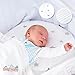 Coney Island Cotton Fitted Jersey Cotton Crib Mattress Sheet, Pack of 2