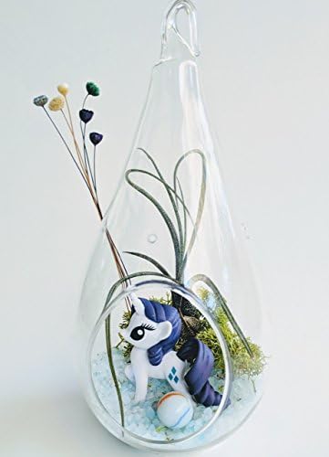 Unicorn Terrarium Kit with 7" Teardrop Glass and Tillandsia Air Plant Fairy Garden Custom Gift Box Thanks Happy Birthday Present