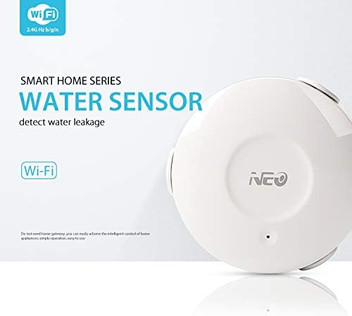 water sensor google home
