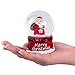 Valentines Day Decor Musical Gnomes Snow Globe,Valentine Gifts for Valentine's Day Decorations,Wedding Party