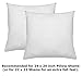 Deluxe Home Euro Pillows 26x26 Set of 2 Square Pillow Inserts for Decorative Bed Pillow Shams - Hypoallergenic, Down Alternative Fill - Crafted in The USA Basics (2 Pack)