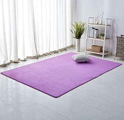 Amazon Co Jp コーラルベルベット 食品 手作り織り ぬいぐるみ 泡 ハイハイマット 赤ちゃん 幼児 そして子供たちがマットを再生 エクササイズ マット 低 紫の 80x160cm 31x63inch おもちゃ