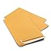 9 X 12 Self-Seal Brown Kraft Catalog Envelopes - 28lb - 30 Count, 9x12 Inch (38030)