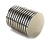 FitRek Neodymium N52 Disc Magnets 1.26