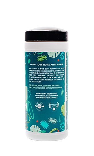 Aunt Fannie’s All Purpose Cleaning Vinegar Wipes (35 Count Canister); Multipurpose Surface Wipes (Eucalyptus)