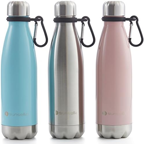 Leakproof Insulated Stainless Steel Water Bottle with Carrier Clip - 17 Oz (1 Pc - Rose)