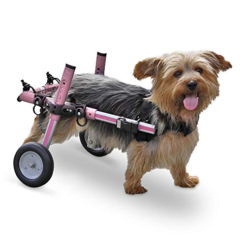 Best Used Dog Wheelchairs TOP 10 Used Dog Wheelchairs 2020