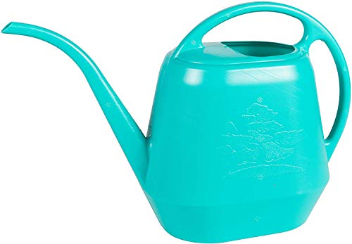 Bloem Aqua Rite Watering Can, 56 oz, Calypso (AW21-27)