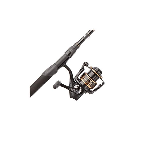 Abu-Garcia-Pro-Max-Spinning-Combo