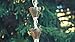 Good Directions 13 Cup Tulip Pure Copper 8.5-Foot Rain Chain