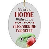 Alexandrine Parakeet Christmas Ornament 2024 - Its