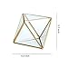 Glass Geometric Terrarium Container 4.5X5.2 inch and 4.3X3.7 inch Glass Terrarium for Succulent & Air Plant (Gold, 2pcs)