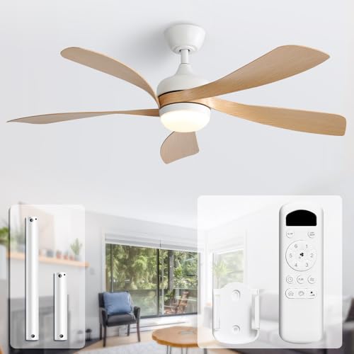 Sofucor Ceiling Fan Light