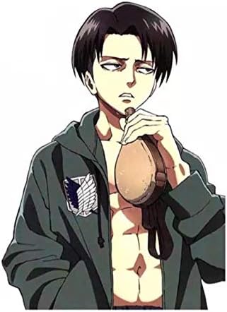 Amazon Co Jp 進撃の巨人リヴァイ 防水ステッカー カーステッカー ビックサイズ 痛車ステッカー ホビー 通販