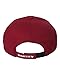 Oakley Men's Golf Ellipse Hat, New Crimson, One Size