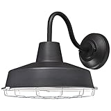 6204700 Academy One-Light LED Outdoor Wall Fixture, Textured Black Finish with Chrome Cage (Tools &amp; Home Improvement)
