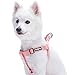 Blueberry Pet 19 Colors Step-in Classic Dog Harness, Chest Girth 16.5